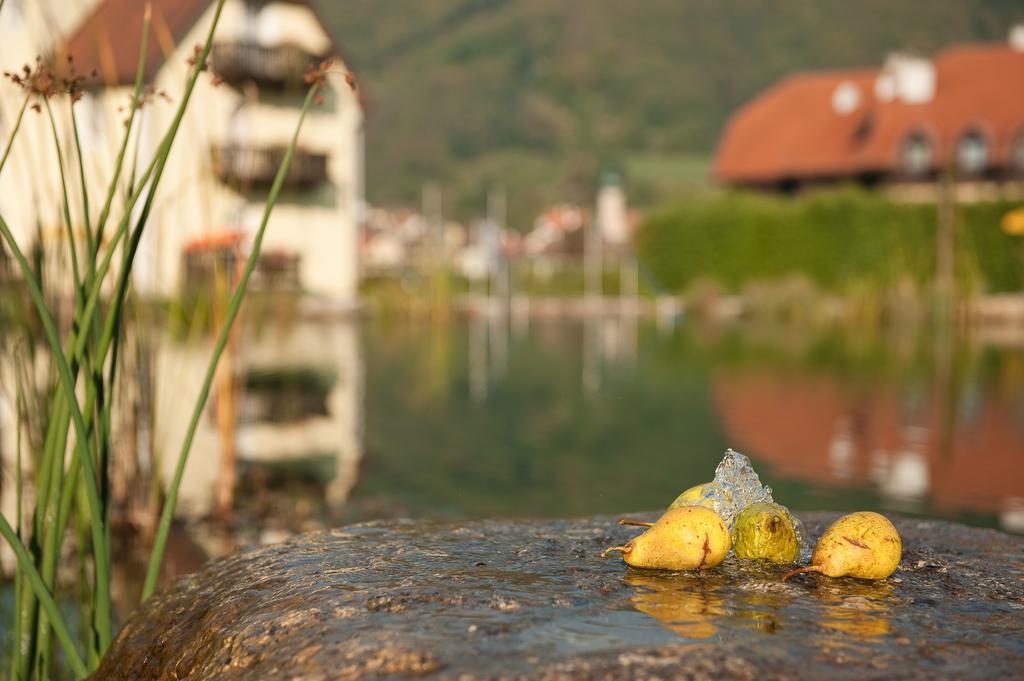 Romantikhotel Residenz Wachau Aggsbach Luaran gambar